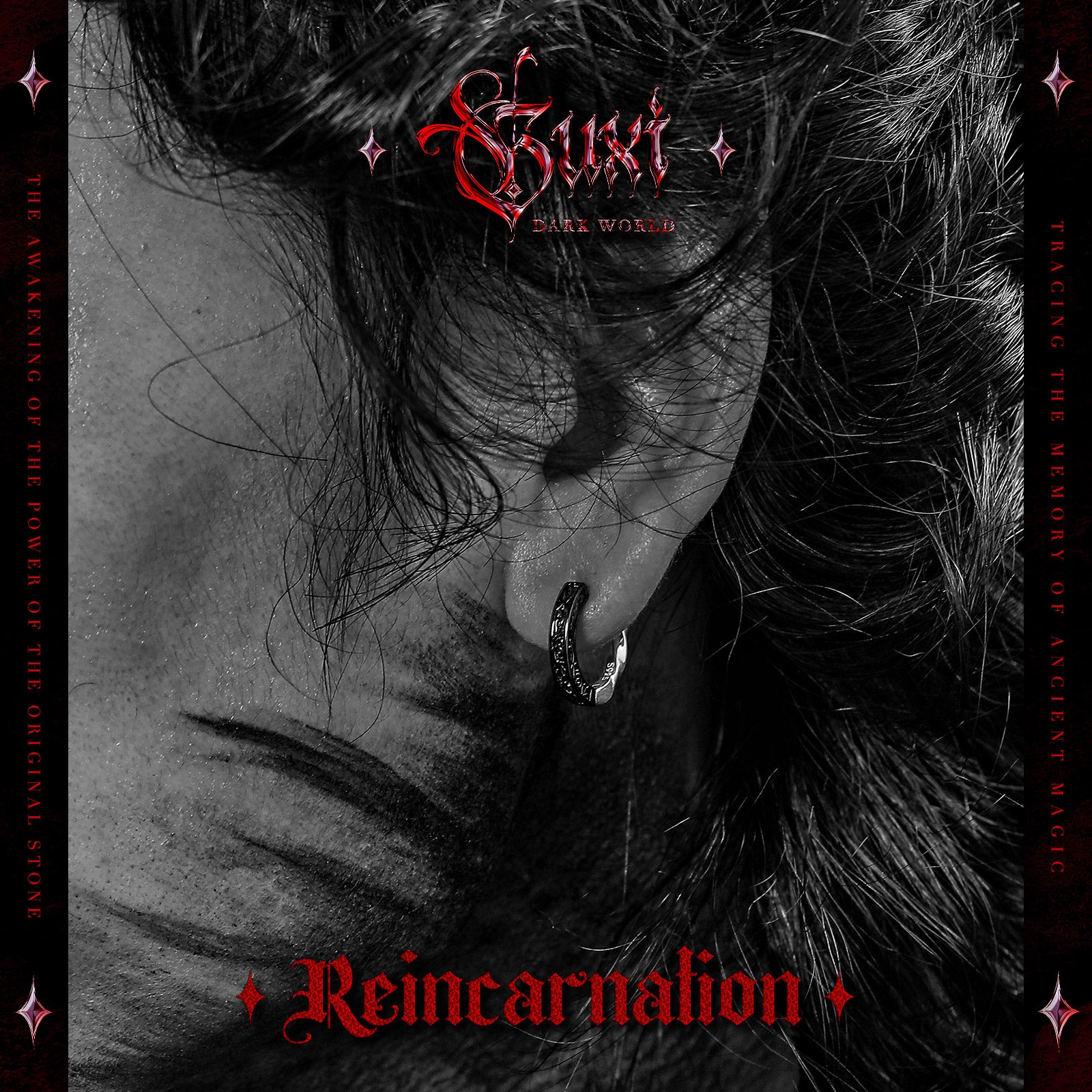 "Reincarnation"Black Earrings