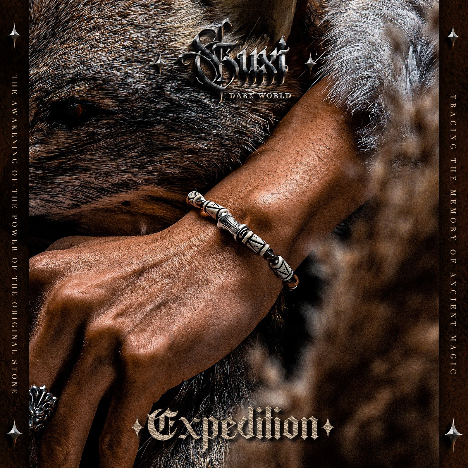 【Expedition】