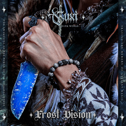 【Frost Vision】